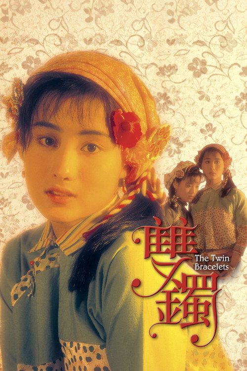 双镯 海报
