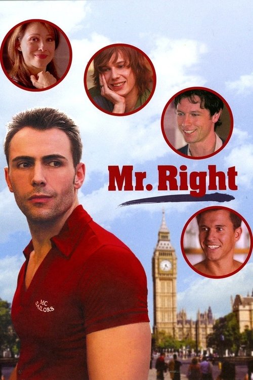 只爱意中人 Mr. Right 海报