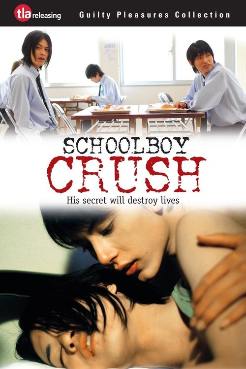 男孩之爱2 海报