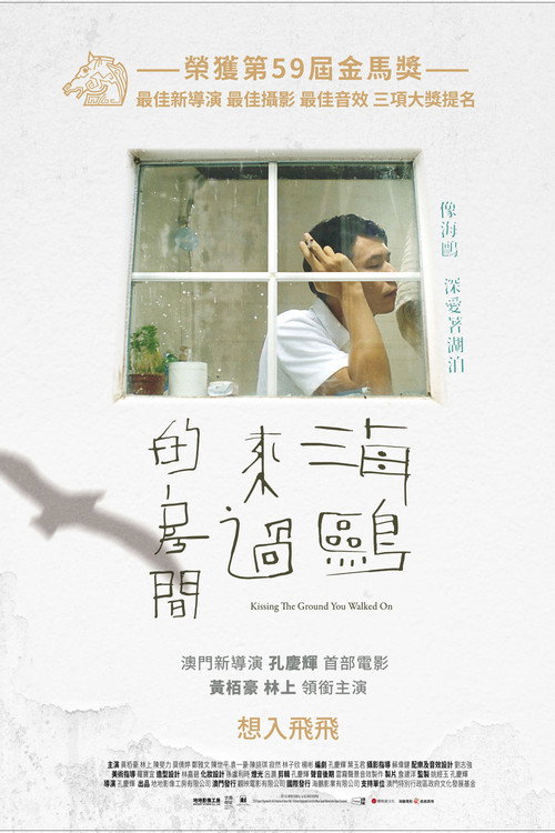 海鸥来过的房间 海报