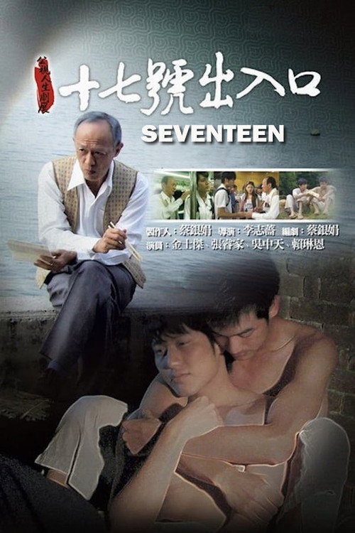 十七号出入口 海报