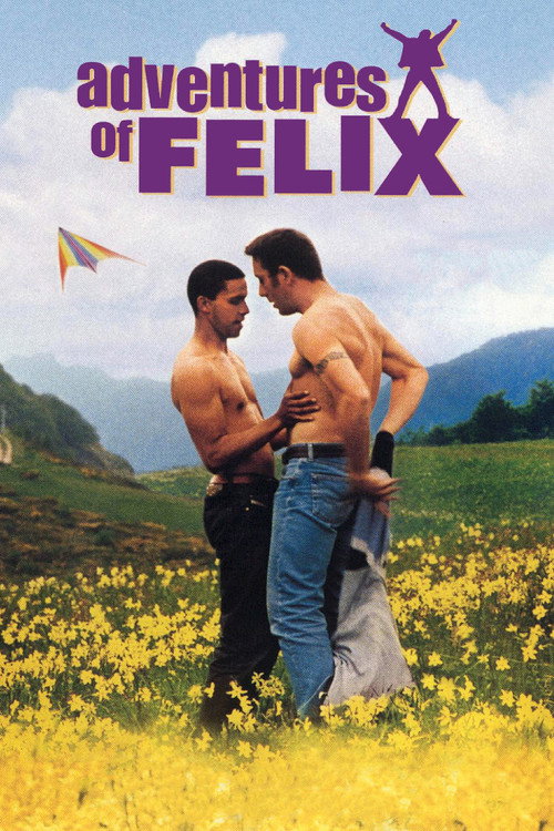 巧克力男孩 Drôle de Félix 海报