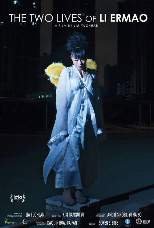 二毛 海报