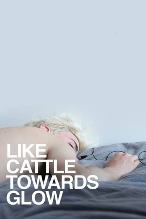 寂寞是光 Like Cattle Towards Glow 海报