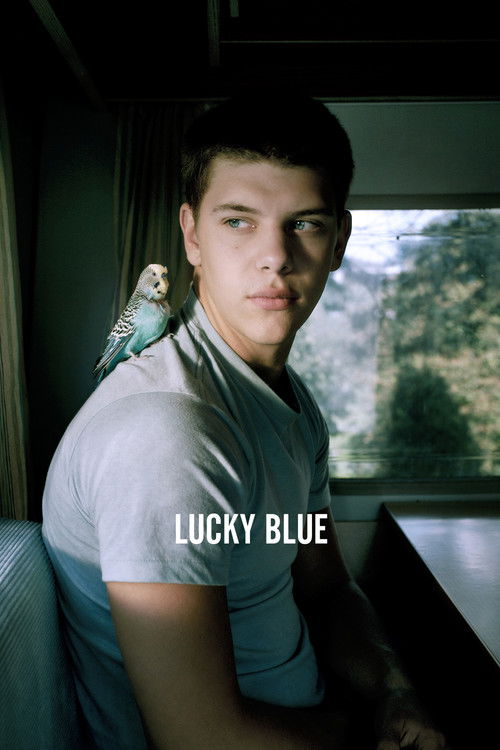幸运蓝 Lucky Blue 海报