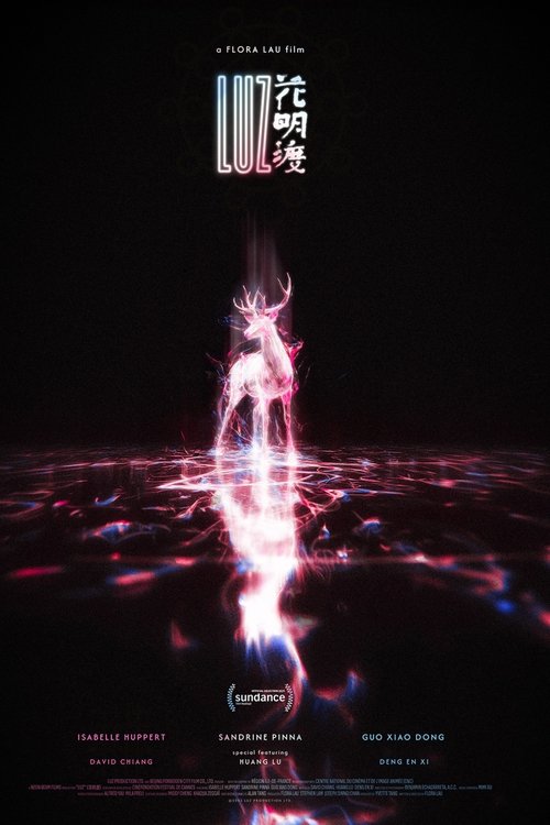 光 海报