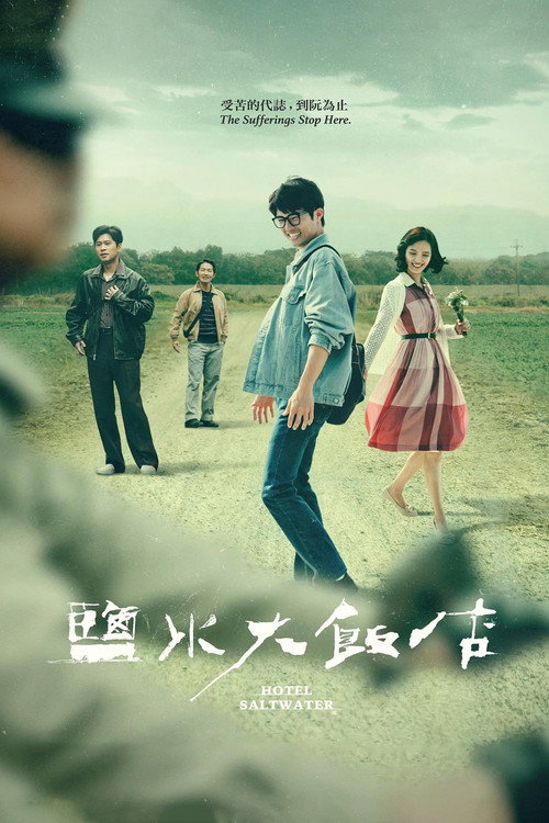 海之恋 / 盐水之恋 海报