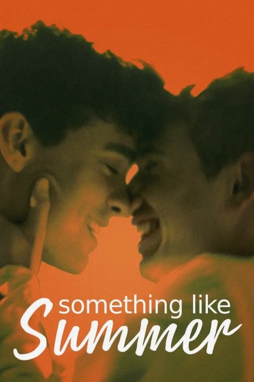夏天什么的 Something Like Summer 海报