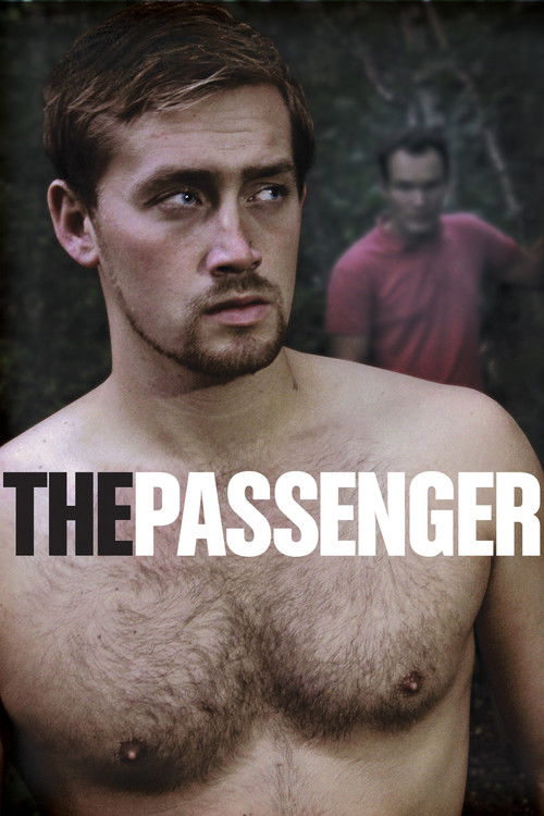 The Passenger 海报