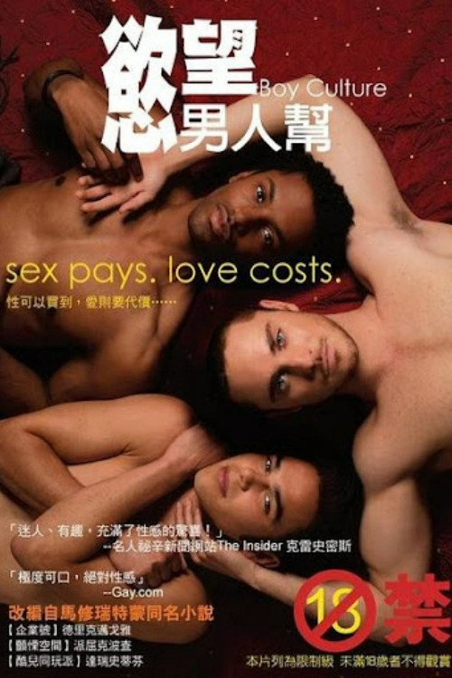 男国少年梦 海报