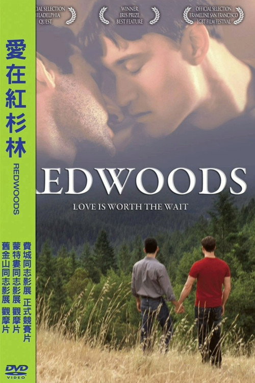 红木林 海报