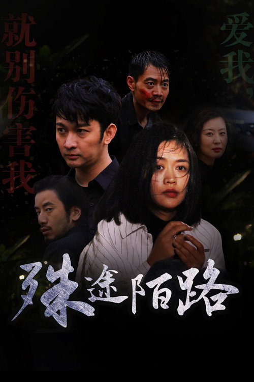 殊途陌路 海报