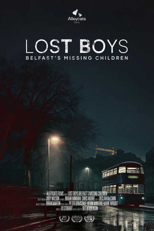 Lost Boys: Belfast's Missing Children 海报