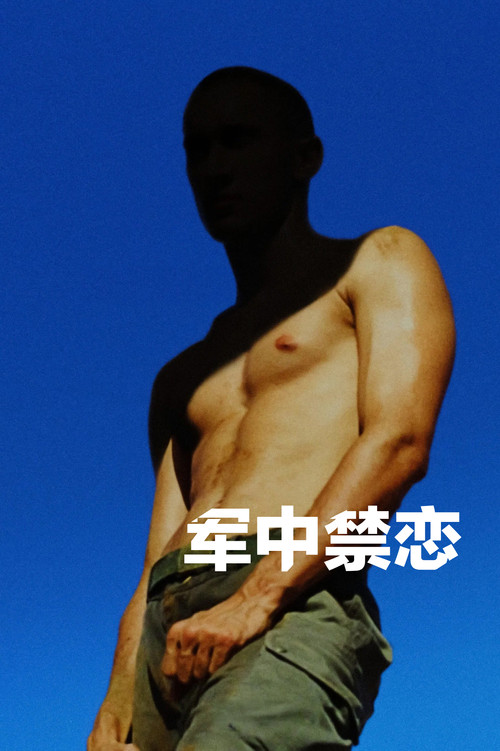 军中禁恋 海报