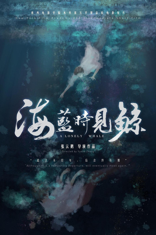 海蓝时见鲸 海报