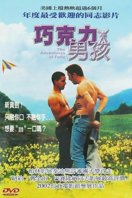 巧克力男孩 Drôle de Félix 海报