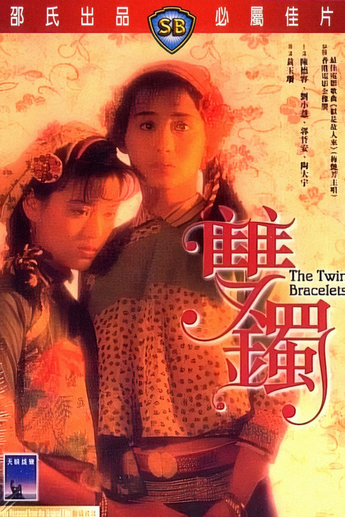 双镯 海报
