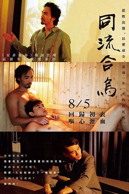 同流合乌 海报