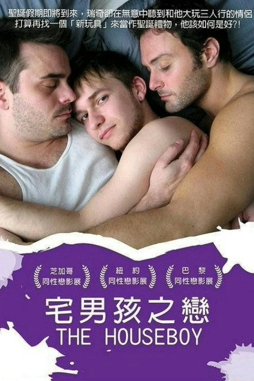 居家男孩 海报