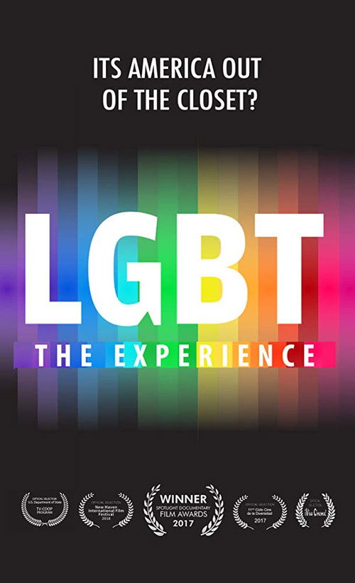 LGBT Experience 海报