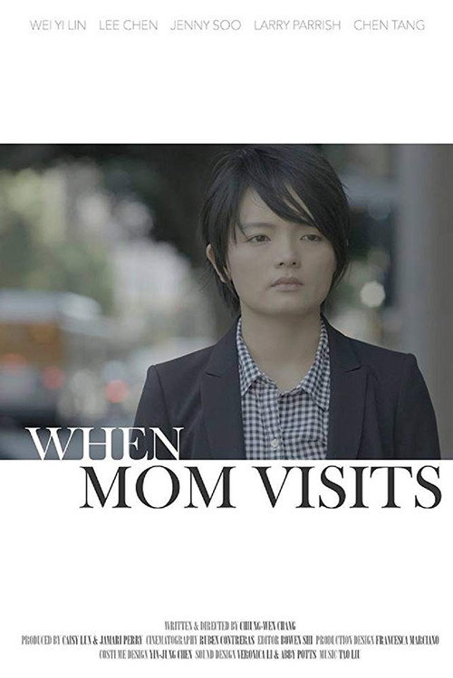 那天妈妈来看我 海报