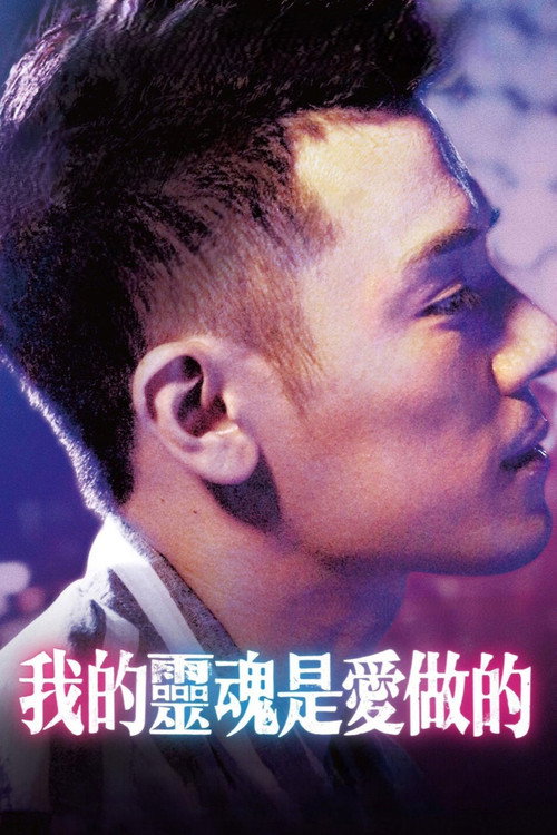 我的灵魂是爱做的 海报