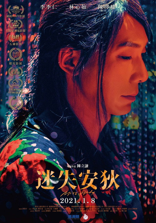 迷失安狄 海报