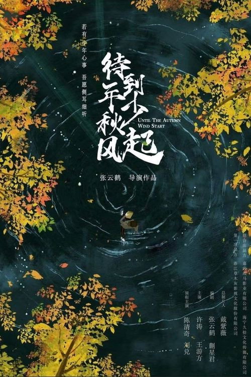 待到年少秋风起 海报